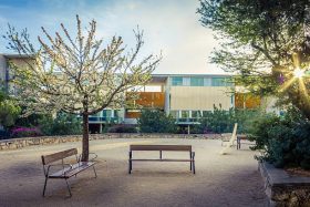 31. Hafta Yazma Konuları: Baharın İlk İşaretleri